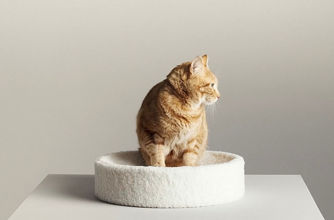 Compact Plush Cat Bed