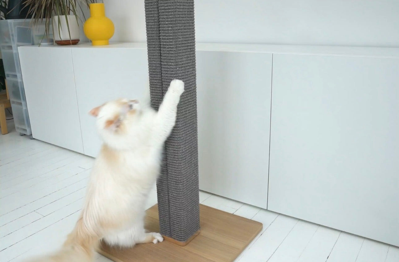 Natural Sisal Scratching Post