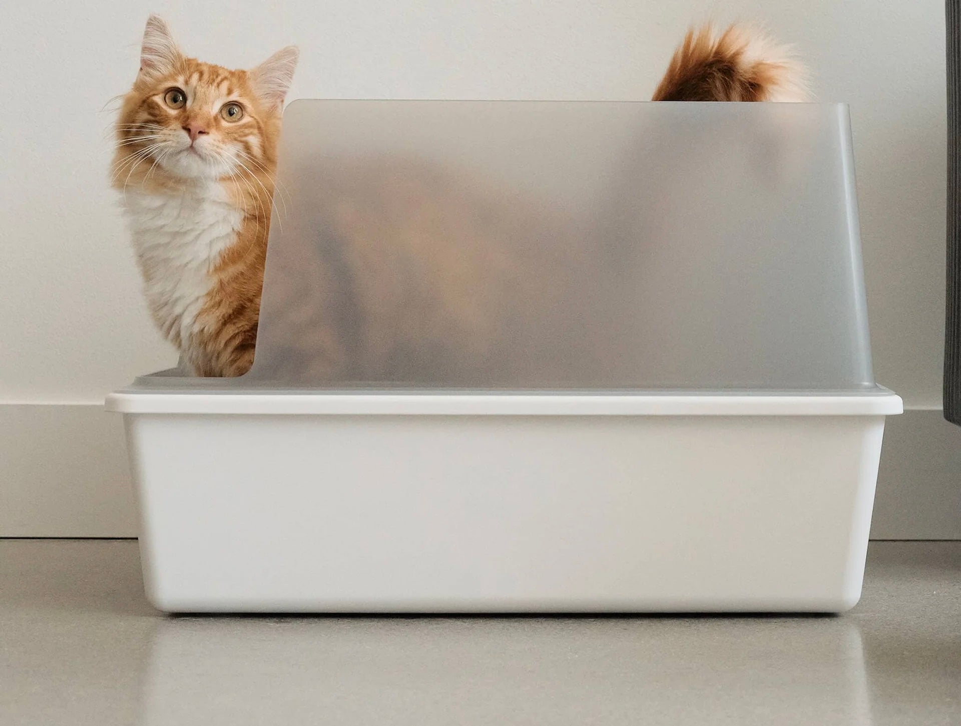 Open Hooded Litter Tray