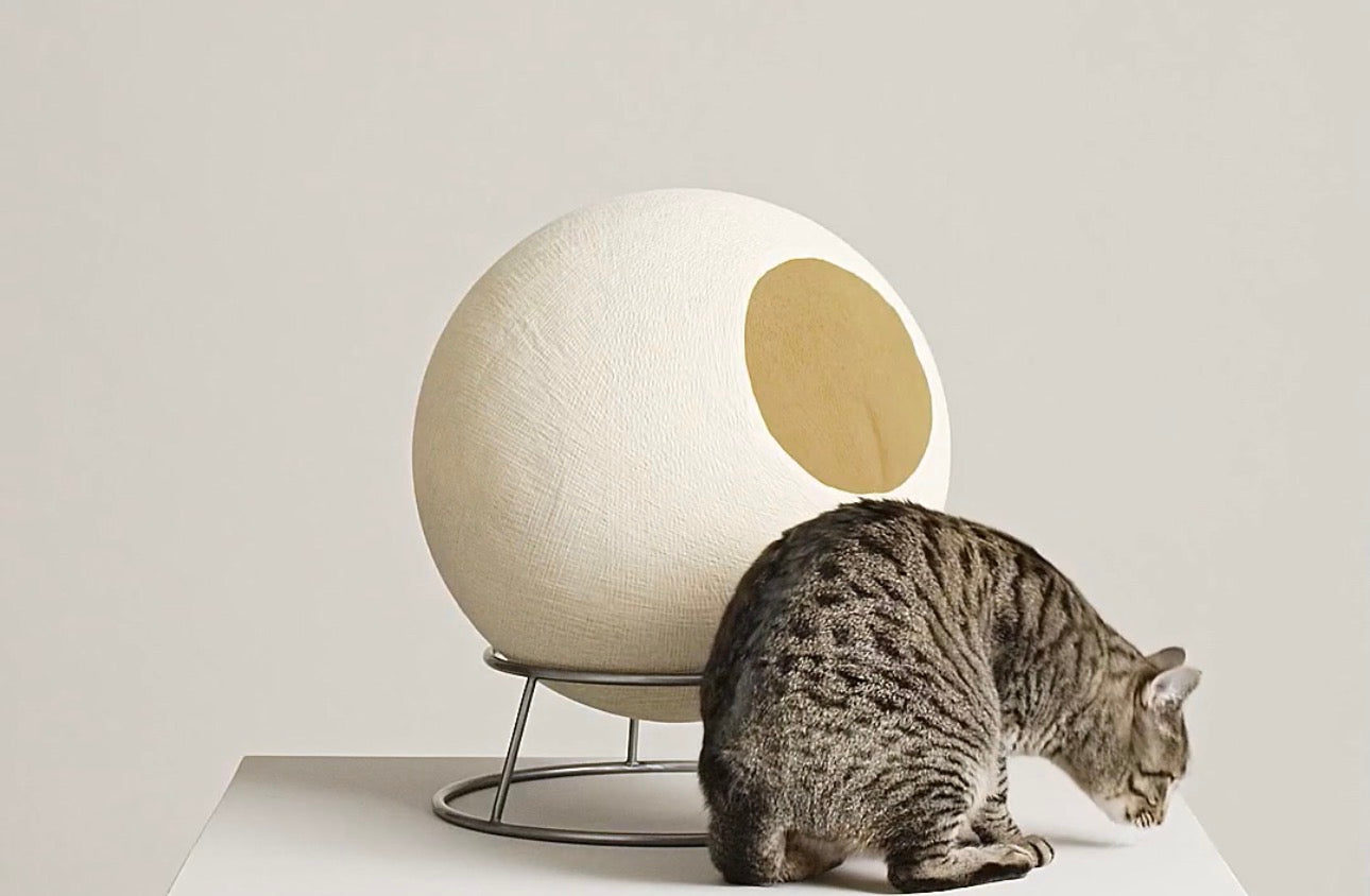 Covered Comfort Cat Bed
